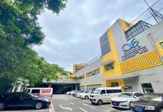 松江区写字楼绿植花卉更换